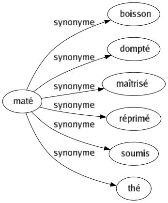 Synonyme de Maté : Boisson Dompté Maîtrisé Réprimé Soumis Thé 