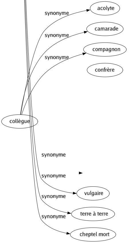 Synonyme de Matériel : Animal Armé Armement Attirail Brutal Butin Charnel Commun Concret Corporel Donnée Effectif Équipage Équipement Financier Grossier Instrument Lourd Massif Matérialiste Matériau Matière Mobilier Objectif Ordinaire Organique Outillage Palpable Pécuniaire Pesant Physique Positif Pratiqué Prosaïque Réaliste Sensible Sensuel Substantiel Tangible Temporel Terrestre Trivial Ustensile Visible Vrai Vulgaire Terre à terre Cheptel mort 