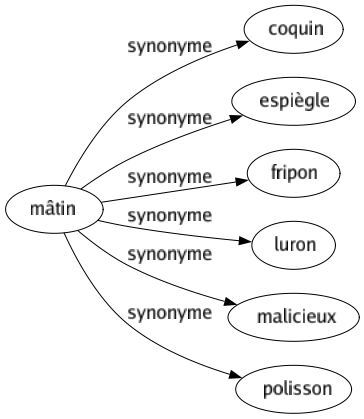 Synonyme de Mâtin : Coquin Espiègle Fripon Luron Malicieux Polisson 