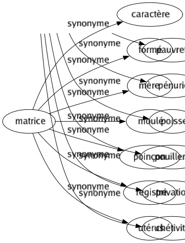 Synonyme de Matrice : Caractère Formé Mère Moulé Poinçon Registre Utérus 