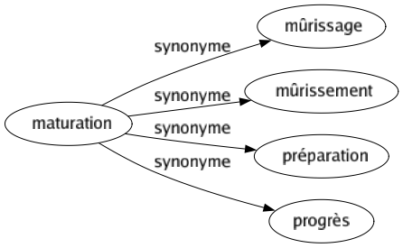 Synonyme de Maturation : Mûrissage Mûrissement Préparation Progrès 