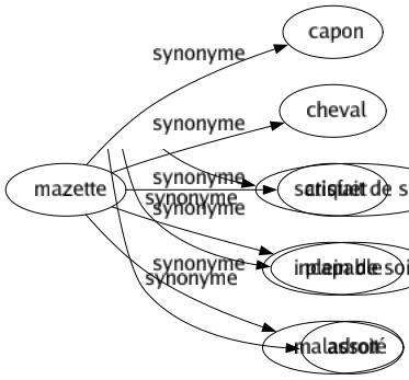 Synonyme de Mazette : Capon Cheval Criquet Incapable Maladroit 