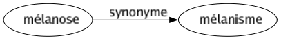 Synonyme de Mélanose : Mélanisme 