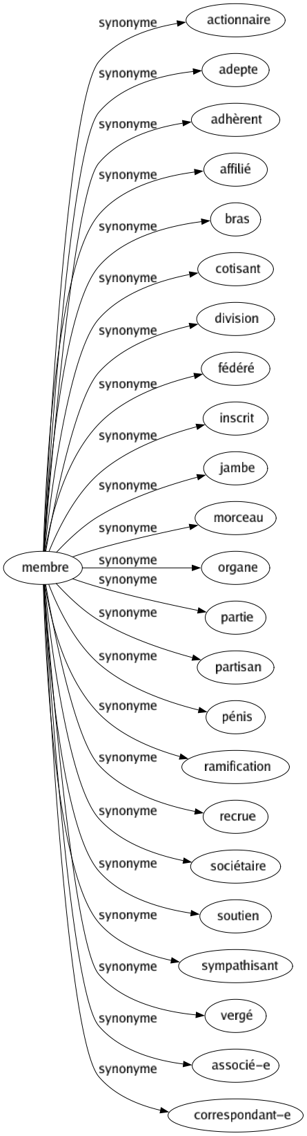 Synonyme de Membre : Actionnaire Adepte Adhèrent Affilié Bras Cotisant Division Fédéré Inscrit Jambe Morceau Organe Partie Partisan Pénis Ramification Recrue Sociétaire Soutien Sympathisant Vergé Associé-e Correspondant-e 