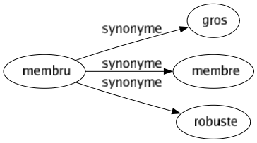 Synonyme de Membru : Gros Membre Robuste 