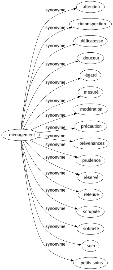 Synonyme de Ménagement : Attention Circonspection Délicatesse Douceur Égard Mesuré Modération Précaution Prévenances Prudence Réservé Retenue Scrupule Sobriété Soin Petits soins 