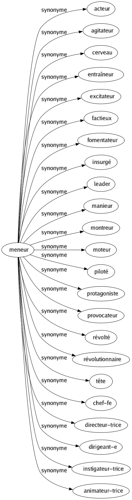 Synonyme de Meneur : Acteur Agitateur Cerveau Entraîneur Excitateur Factieux Fomentateur Insurgé Leader Manieur Montreur Moteur Piloté Protagoniste Provocateur Révolté Révolutionnaire Tête Chef-fe Directeur-trice Dirigeant-e Instigateur-trice Animateur-trice 
