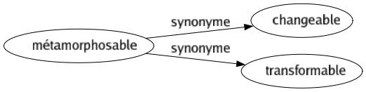 Synonyme de Métamorphosable : Changeable Transformable 
