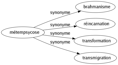 Synonyme de Métempsycose : Brahmanisme Réincarnation Transformation Transmigration 