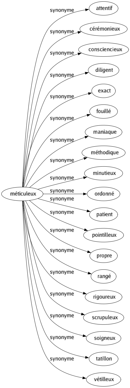 Synonyme de Méticuleux : Attentif Cérémonieux Consciencieux Diligent Exact Fouillé Maniaque Méthodique Minutieux Ordonné Patient Pointilleux Propre Rangé Rigoureux Scrupuleux Soigneux Tatillon Vétilleux 