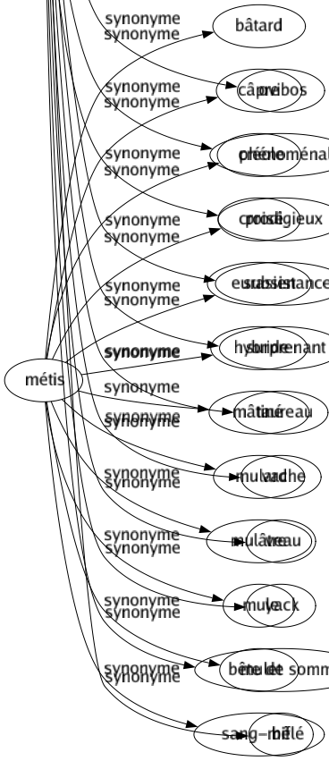 Synonyme de Métis : Bâtard Câpre Créole Croisé Eurasien Hybride Mâtiné Mulard Mulâtre Mule Mulet Sang-mêlé 