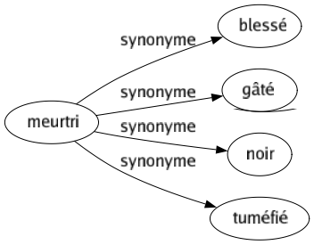 Synonyme de Meurtri : Blessé Gâté Noir Tuméfié 
