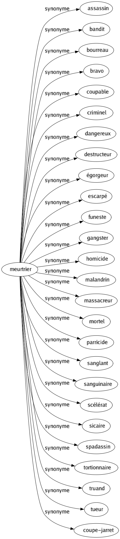 Synonyme de Meurtrier : Assassin Bandit Bourreau Bravo Coupable Criminel Dangereux Destructeur Égorgeur Escarpé Funeste Gangster Homicide Malandrin Massacreur Mortel Parricide Sanglant Sanguinaire Scélérat Sicaire Spadassin Tortionnaire Truand Tueur Coupe-jarret 