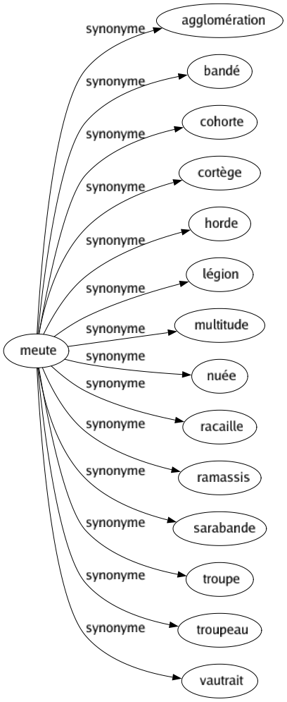 Synonyme de Meute : Agglomération Bandé Cohorte Cortège Horde Légion Multitude Nuée Racaille Ramassis Sarabande Troupe Troupeau Vautrait 