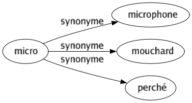 Synonyme de Micro : Microphone Mouchard Perché 