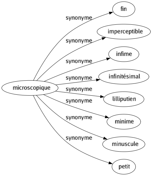 Synonyme de Microscopique : Fin Imperceptible Infime Infinitésimal Lilliputien Minime Minuscule Petit 