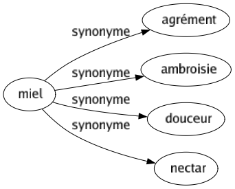 Synonyme de Miel : Agrément Ambroisie Douceur Nectar 
