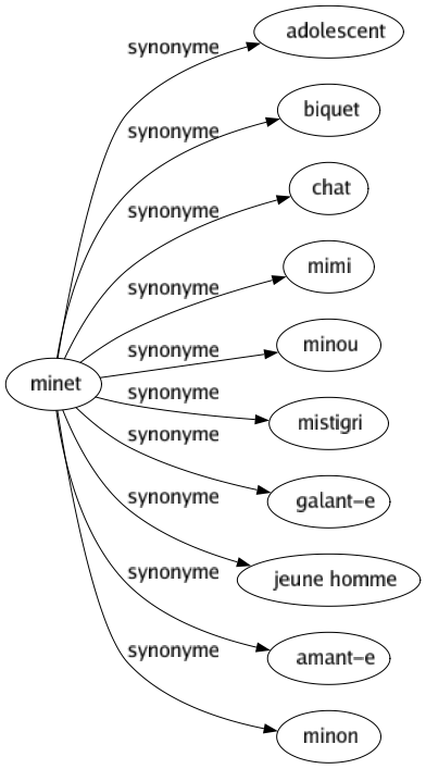 Synonyme de Minet : Adolescent Biquet Chat Mimi Minou Mistigri Galant-e Jeune homme Amant-e Minon 