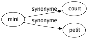 Synonyme de Mini : Court Petit 