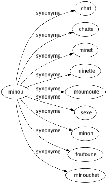 Synonyme de Minou : Chat Chatte Minet Minette Moumoute Sexe Minon Foufoune Minouchet 