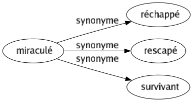 Synonyme de Miraculé : Réchappé Rescapé Survivant 