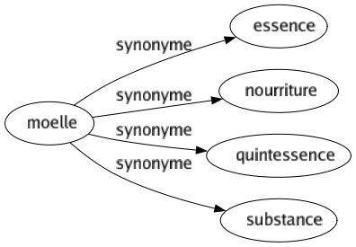 Synonyme de Moelle : Essence Nourriture Quintessence Substance 