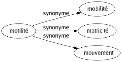 Synonyme de Motilité : Mobilité Motricité Mouvement 
