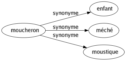 Synonyme de Moucheron : Enfant Méché Moustique 