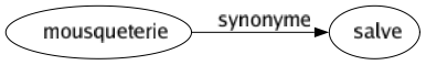 Synonyme de Mousqueterie : Salve 