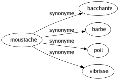Synonyme de Moustache : Bacchante Barbe Poil Vibrisse 