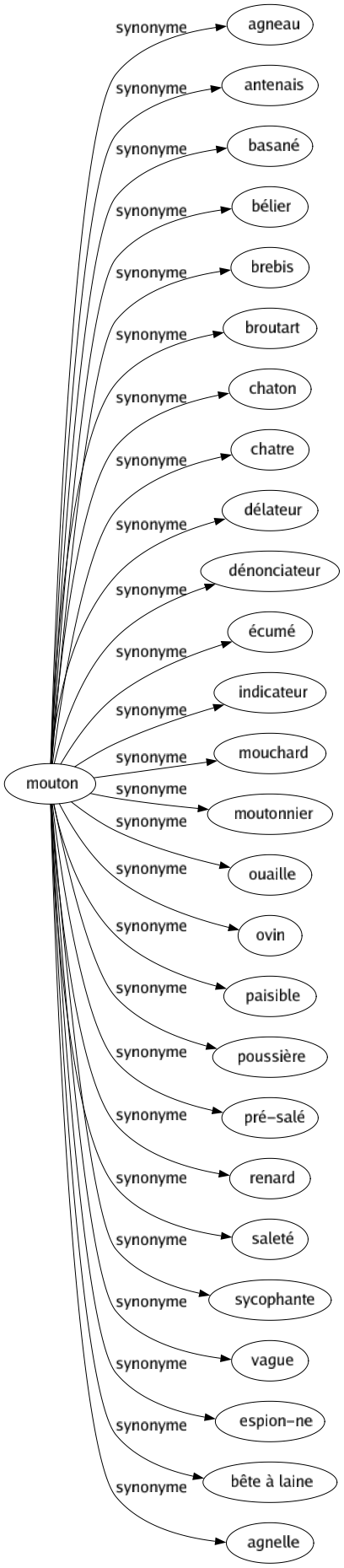 Synonyme de Mouton : Agneau Antenais Basané Bélier Brebis Broutart Chaton Chatre Délateur Dénonciateur Écumé Indicateur Mouchard Moutonnier Ouaille Ovin Paisible Poussière Pré-salé Renard Saleté Sycophante Vague Espion-ne Bête à laine Agnelle 