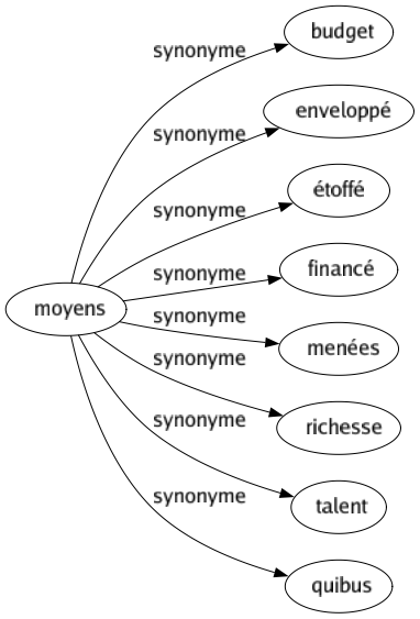 Synonyme de Moyens : Budget Enveloppé Étoffé Financé Menées Richesse Talent Quibus 