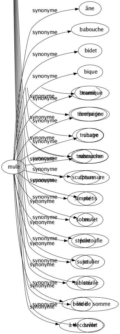 Synonyme de Mule : Âne Babouche Bidet Bique Bourrique Brehaigne Chatre Chausson Chaussure Métis Mulet Pantoufle Soulier Stérile Bête de somme Brêle 