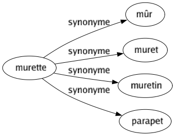 Synonyme de Murette : Mûr Muret Muretin Parapet 