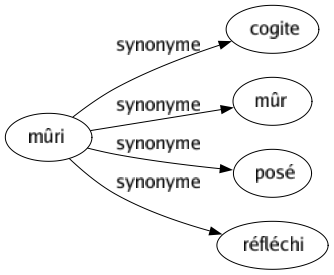 Synonyme de Mûri : Cogite Mûr Posé Réfléchi 