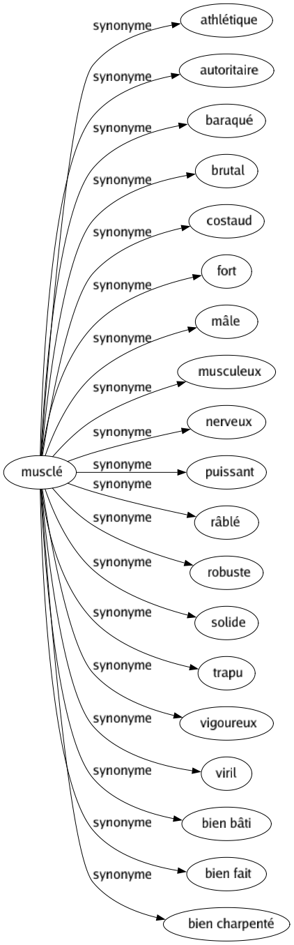 Synonyme de Musclé : Athlétique Autoritaire Baraqué Brutal Costaud Fort Mâle Musculeux Nerveux Puissant Râblé Robuste Solide Trapu Vigoureux Viril Bien bâti Bien fait Bien charpenté 