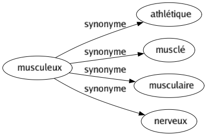 Synonyme de Musculeux : Athlétique Musclé Musculaire Nerveux 