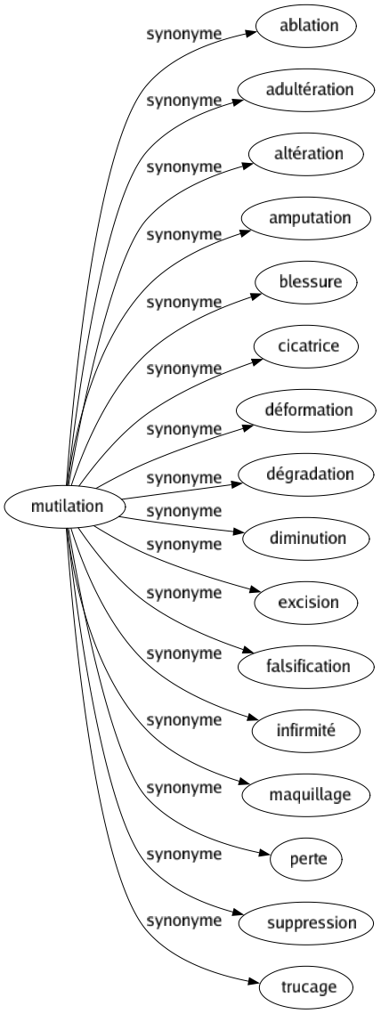 Synonyme de Mutilation : Ablation Adultération Altération Amputation Blessure Cicatrice Déformation Dégradation Diminution Excision Falsification Infirmité Maquillage Perte Suppression Trucage 