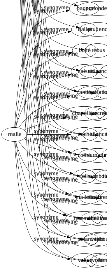 Synonyme de Mystère : Allégorie Âme Arcane Cabale Cachette Cachotterie Clandestinité Coulissé Culte Détour Diablerie Discrétion Dissimulation Énigme Ésotérisme Glacé Incertitude Inconnu Liturgie Magie Miracle Obscurité Ombré Profondeur Prudence Rébus Réticence Révélation Secret Silence Surnaturel Symbole Ténèbres Théâtre Vérité Voilé 
