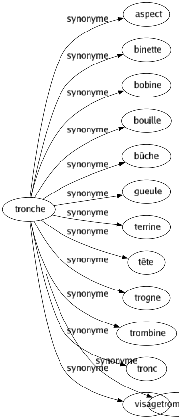 Synonyme de Mystificateur : Farceur Faussaire Fumiste Imposteur Menteur Mystifiant Pipeur Plaisantin Trompeur 