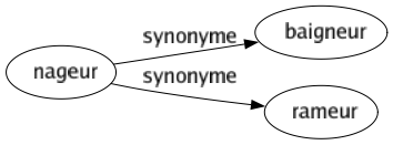 Synonyme de Nageur : Baigneur Rameur 