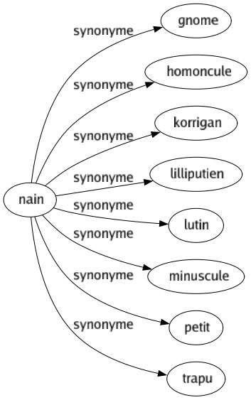 Synonyme de Nain : Gnome Homoncule Korrigan Lilliputien Lutin Minuscule Petit Trapu 