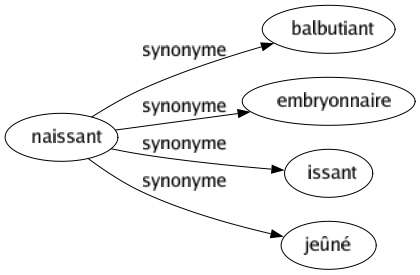 Synonyme de Naissant : Balbutiant Embryonnaire Issant Jeûné 
