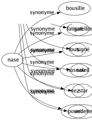 Synonyme de Nase : Bousille Fatigué Foutu Naseau Nez Pourri 