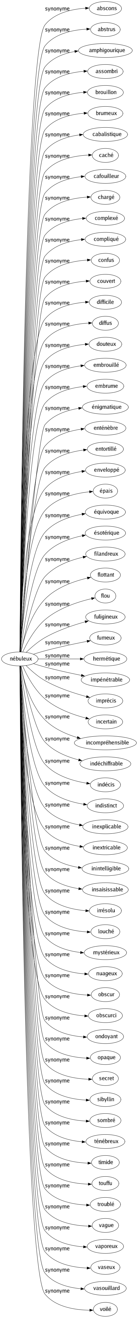 Synonyme de Nébuleux : Abscons Abstrus Amphigourique Assombri Brouillon Brumeux Cabalistique Caché Cafouilleur Chargé Complexé Compliqué Confus Couvert Difficile Diffus Douteux Embrouillé Embrume Énigmatique Enténèbre Entortillé Enveloppé Épais Équivoque Ésotérique Filandreux Flottant Flou Fuligineux Fumeux Hermétique Impénétrable Imprécis Incertain Incompréhensible Indéchiffrable Indécis Indistinct Inexplicable Inextricable Inintelligible Insaisissable Irrésolu Louché Mystérieux Nuageux Obscur Obscurci Ondoyant Opaque Secret Sibyllin Sombré Ténébreux Timide Touffu Troublé Vague Vaporeux Vaseux Vasouillard Voilé 