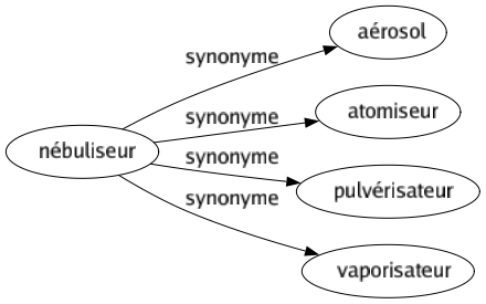 Synonyme de Nébuliseur : Aérosol Atomiseur Pulvérisateur Vaporisateur 