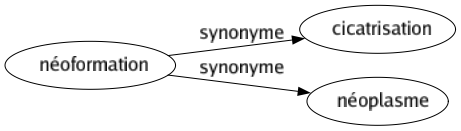 Synonyme de Néoformation : Cicatrisation Néoplasme 