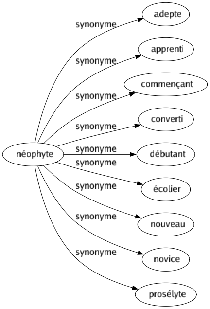 Synonyme de Néophyte : Adepte Apprenti Commençant Converti Débutant Écolier Nouveau Novice Prosélyte 