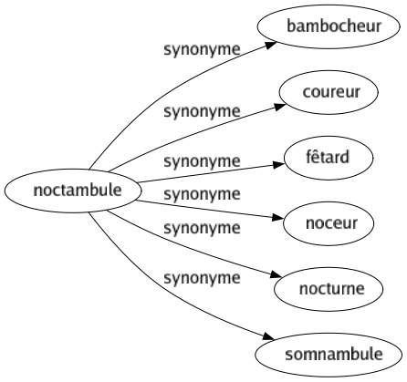 Synonyme de Noctambule : Bambocheur Coureur Fêtard Noceur Nocturne Somnambule 