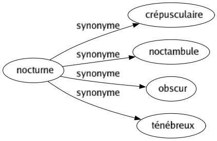 Synonyme de Nocturne : Crépusculaire Noctambule Obscur Ténébreux 